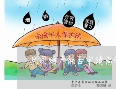 共同财产能否申请离婚协议/2023111440625