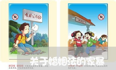 关于婚姻法的家暴/2023100387148