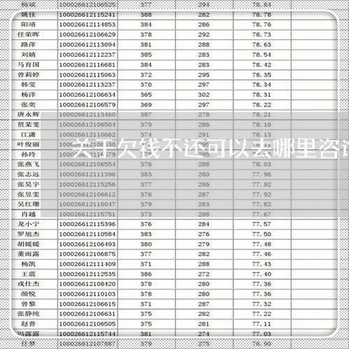 关于欠钱不还可以去哪里咨询/2023092751573