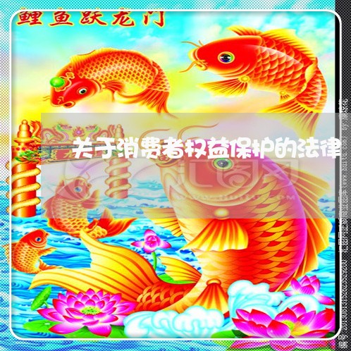 关于消费者权益保护的法律/2023031399371