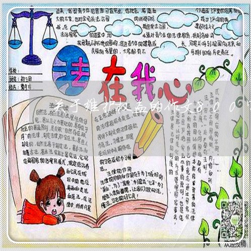 关于维护权益的作文800字/2023032770685