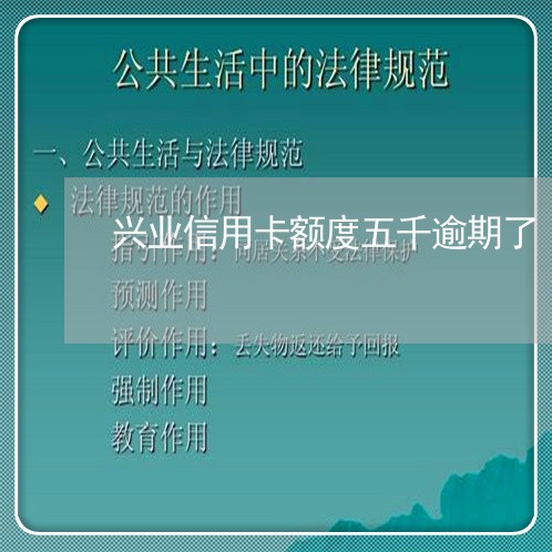 兴业信用卡额度五千逾期了/2023111608314