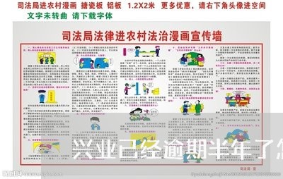 兴业已经逾期半年了怎么协商/2023091423715