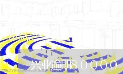 兴业逾期80000/2023060916372