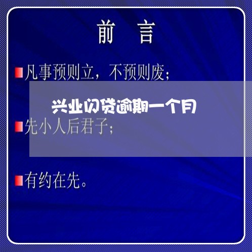 兴业闪贷逾期一个月/2023060906026