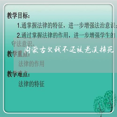 内蒙古欠钱不还被老汉捅死/2023120935382