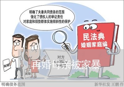 再婚母亲被家暴/2023091463705