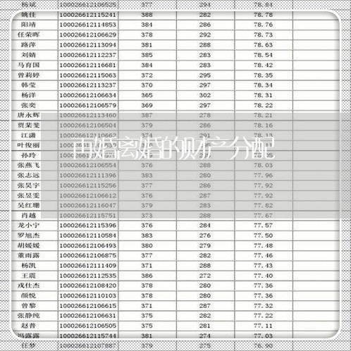 再婚离婚的财产分配/2023110862614