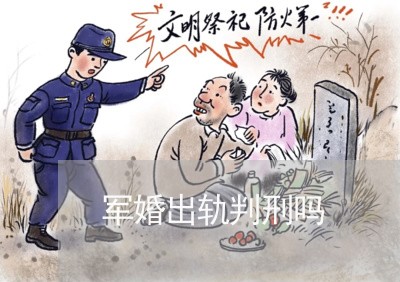 军婚出轨判刑吗/2023090529204