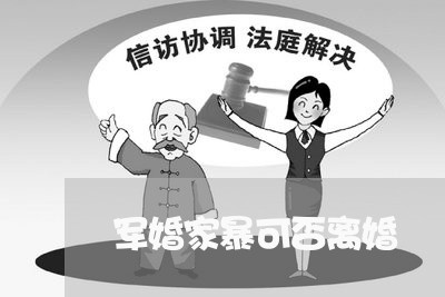 军婚家暴可否离婚/2023093033615