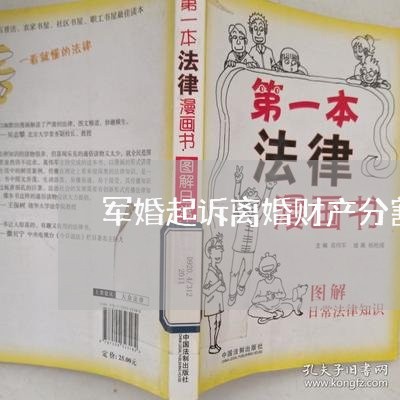 军婚起诉离婚财产分割案例/2023111482615