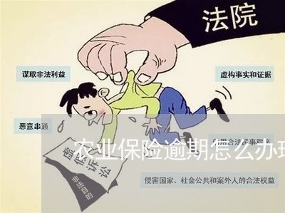 农业保险逾期怎么办理停缴/2023091552492