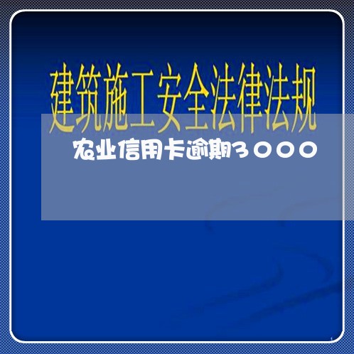 农业信用卡逾期3000/2023071361606