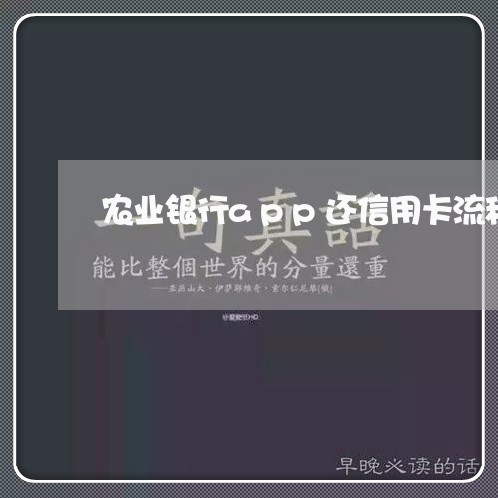 农业银行app还信用卡流程/2023102426928