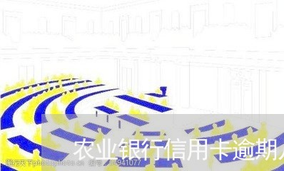 农业银行信用卡逾期几次/2023060421713