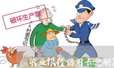 农业银行信用卡逾期黑名单/2023050463814