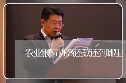 农业银行协商还款还到哪里/2023100629178