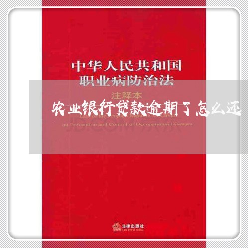 农业银行贷款逾期了怎么还/2023061531604