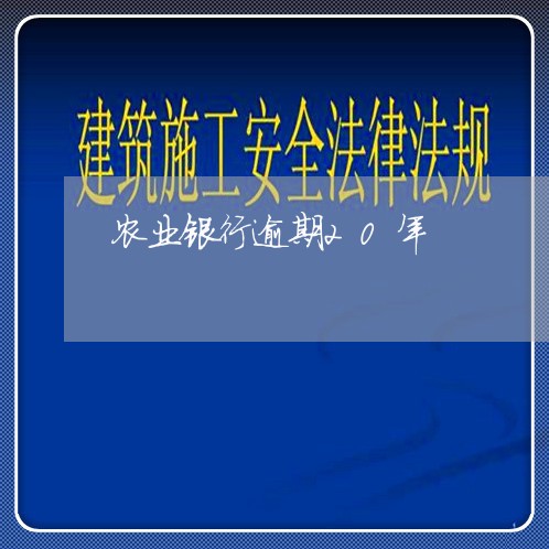 农业银行逾期20年/2023060938261