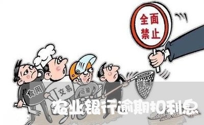 农业银行逾期扣利息/2023060969373