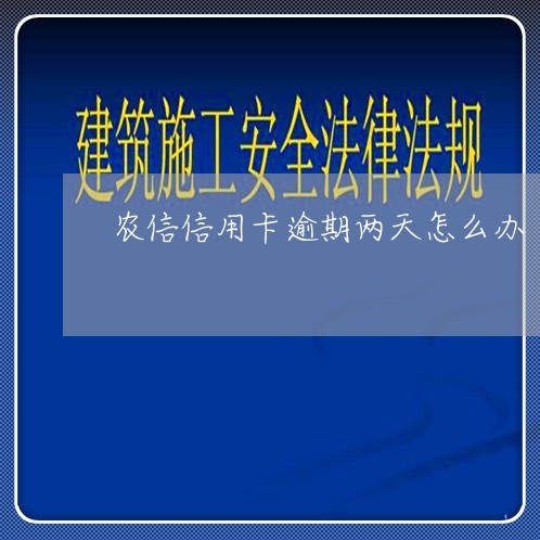 农信信用卡逾期两天怎么办/2023081295928