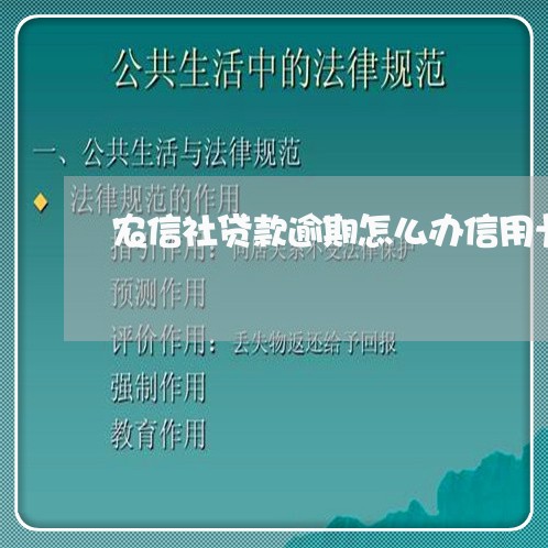 农信社贷款逾期怎么办信用卡/2023091528371