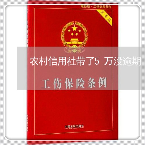 农村信用社带了5万没逾期/2023091417591