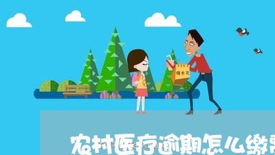 农村医疗逾期怎么缴费/2023111560694