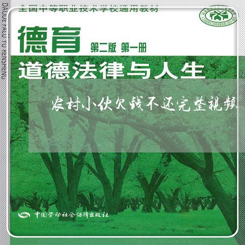 农村小伙欠钱不还完整视频/2023102831692