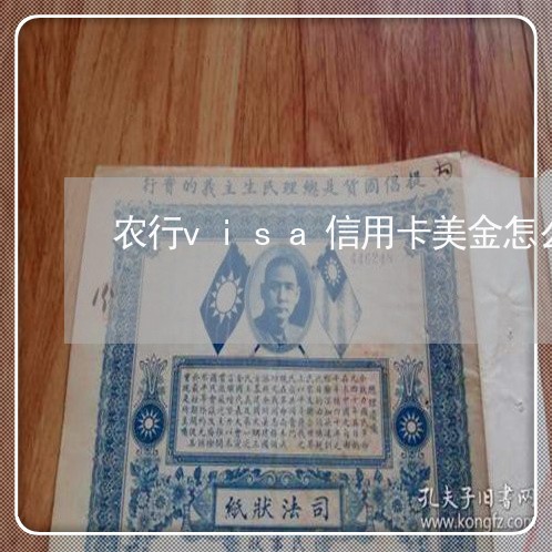 农行visa信用卡美金怎么还/2023112435595