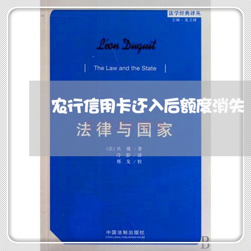 农行信用卡还入后额度消失/2023102813927