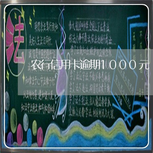 农行信用卡逾期1000元/2023112505150