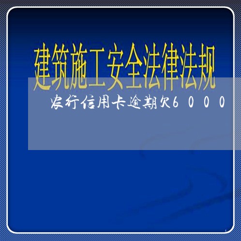 农行信用卡逾期欠6000/2023112658461