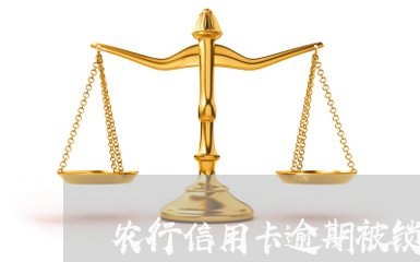 农行信用卡逾期被锁定/2023062284046