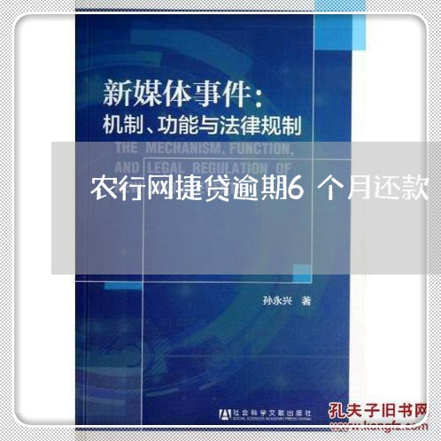 农行网捷贷逾期6个月还款/2023111728473