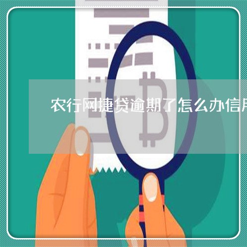 农行网捷贷逾期了怎么办信用卡/2023072329374