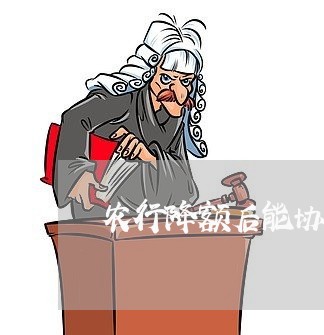 农行降额后能协商还款吗/2023100697258