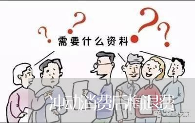 冲动消费后悔退费/2023042985826