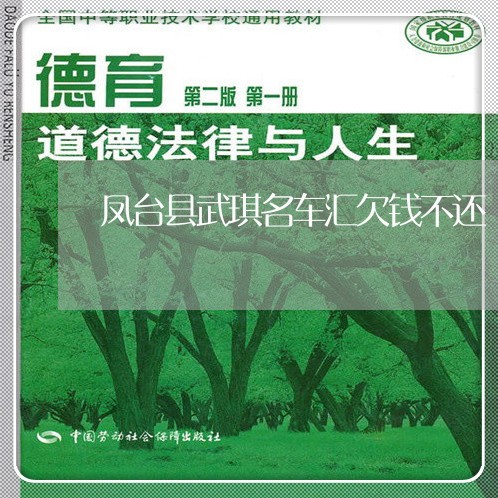 凤台县武琪名车汇欠钱不还/2023092983524