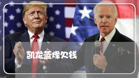 凯龙蓝烽欠钱/2023121949380