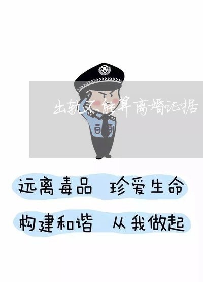 出轨不能算离婚证据/2023110340695