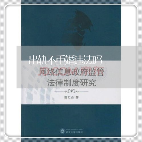 出轨不重婚违法吗/2023100568470