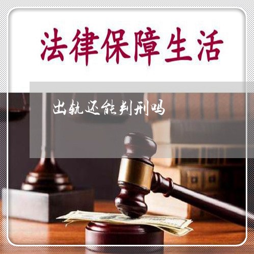 出轨还能判刑吗/2023121816047