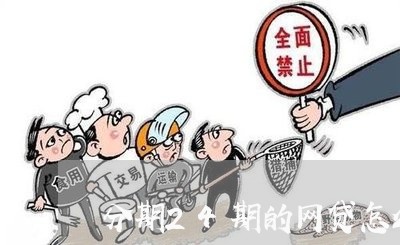 分期24期的网贷怎么还/2023111689403