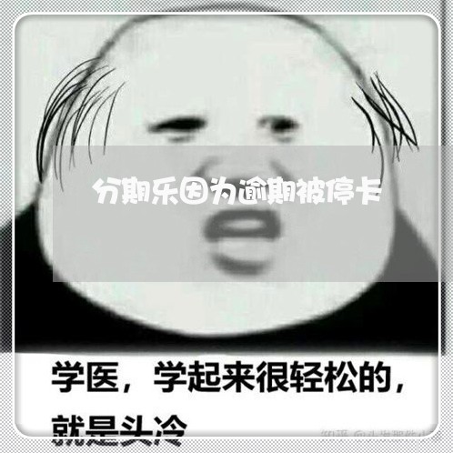 分期乐因为逾期被停卡/2023073094025