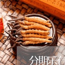 分期乐有逾期2个月的吗/2023080156381