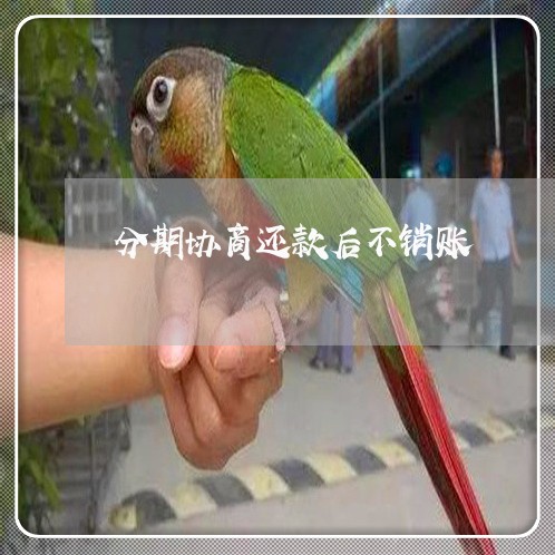 分期协商还款后不销账/2023101761704