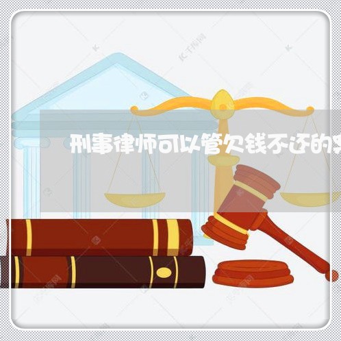 刑事律师可以管欠钱不还的案子吗/2023120929360