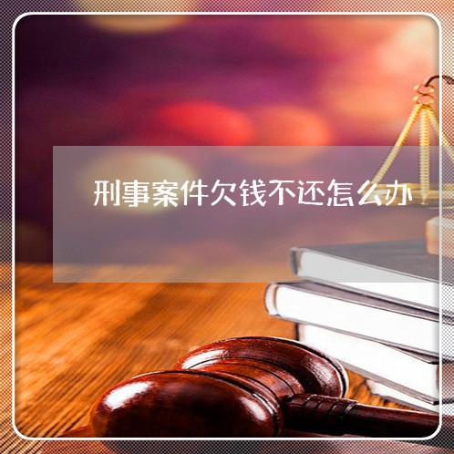 刑事案件欠钱不还怎么办/2023120905826