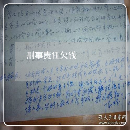 刑事责任欠钱/2023100770376